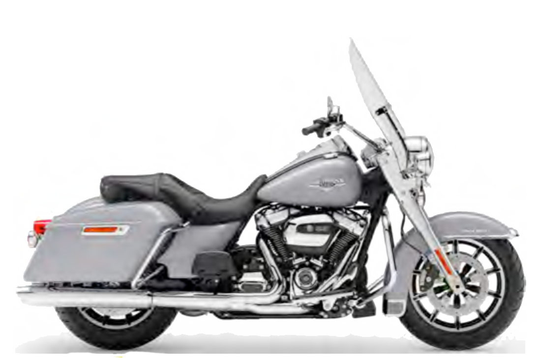 HarleyDavidson Road King Motochecker